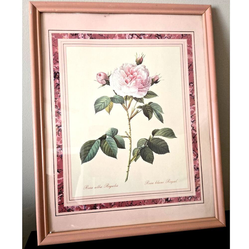Vintage Rose Bloom Botanical Framed Print Romantic RosaAlba Regalis Cottage Core